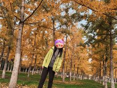 -汉长安城未央宫国家考古遗址公园