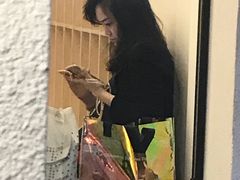 -村口大树(长乐路店)