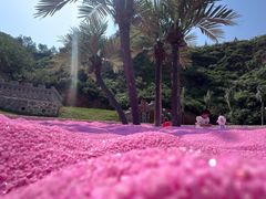 -采薇庄园四季滑雪场