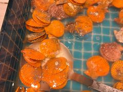 -龙岩佰翔京华酒店(京华购物中心店)