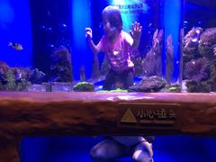 -芜湖新华联大白鲸海洋公园