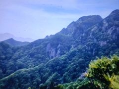 -王顺山国家森林公园