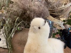 -玲婧胡同·生日蛋糕·餐厅(嘉里城店)