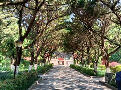 -南岳衡山风景名胜区-南岳大庙