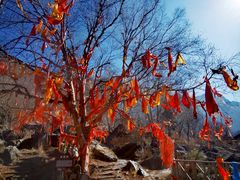 -叠溪松坪沟景区