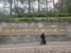 -九华山风景区