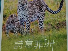 -好利来(团结湖店)