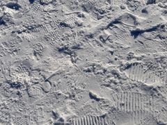 -沈阳奥体冰雪嘉年华