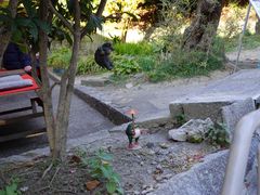 -有栖山 清光院 清水寺