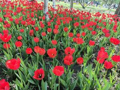 -长春公园(普阳街道)