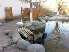 android_upload_pic-北京市海淀外国语实验学校