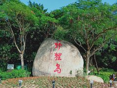 -野狸岛