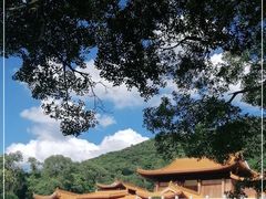 -深圳仙湖植物园