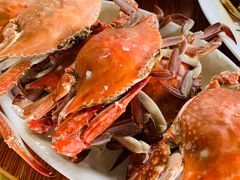 -胖大嫂渔家排档·全海景餐厅(渔村店)