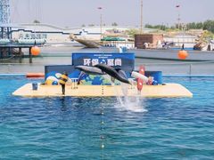 -秦皇岛乐岛海洋王国