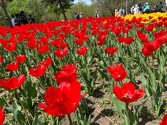 -长春公园(普阳街道)