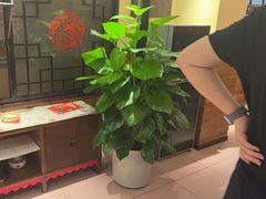 -西贝(六里桥旗舰店)