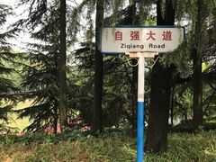 -武汉大学-樱园