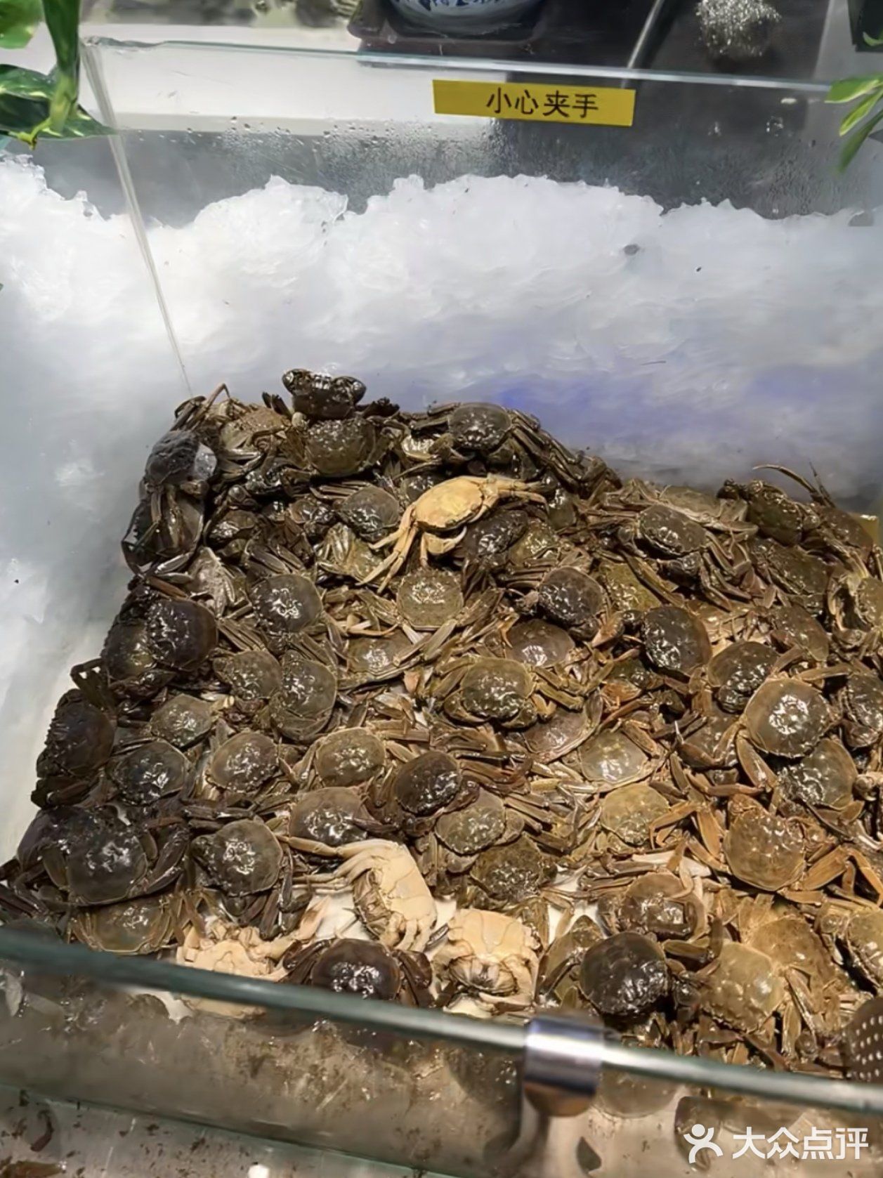 快乐自助大饱口福