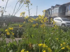 -上海浦南农副产品批发市场