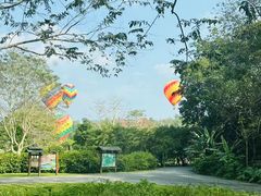 -中国科学院西双版纳热带植物园