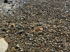 -西涌国际滨海旅游区