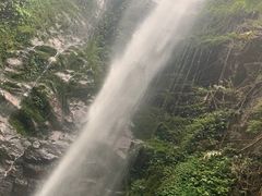 -莫里热带雨林景区