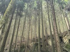 -山王坪喀斯特国家生态公园