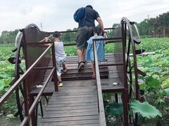 -武汉紫薇都市田园