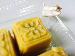 -上海虹口糕团食品厂(欣兴店)