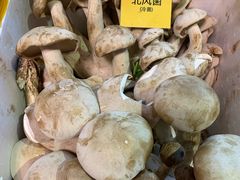 -菌海森林·非遗野生菌火锅(西山区滇池路摩根道店)