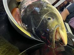 -好灶头妈妈菜·柴火灶台鱼·千岛湖土菜地标美食