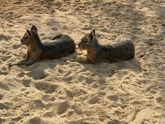 -茅山东方盐湖城景区