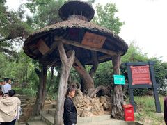 -窦圌山风景区