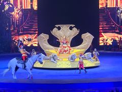 -广州长隆国际大马戏