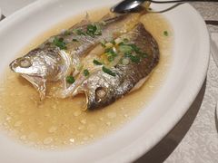 -金美华轩(东方路齐鲁店)