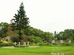 -深圳仙湖植物园