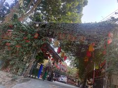 -南宁良凤江国家森林公园