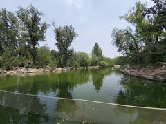 景点-北京动物园