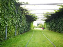 -圣露庄园·草坪婚礼·宴会厅·会议