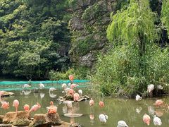 -宁波野生动物园