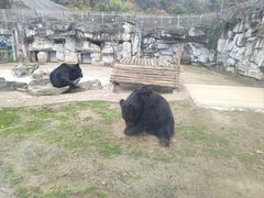-黔灵山公园