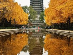 -玲珑塔公园