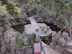 -绮园景区