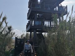 -漩门湾国家湿地公园