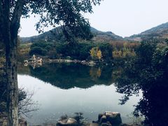 -白马涧龙池景区