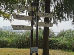 -高子水居