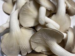 -古乐牛香·鲜牛肉牛杂火锅(吴江三里桥运东商业广场店)