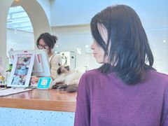 -有猫主题·治愈系猫咖(曾厝垵店)