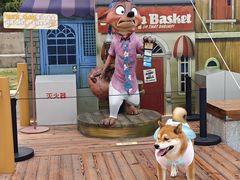 -龙华素斋(龙华路店)